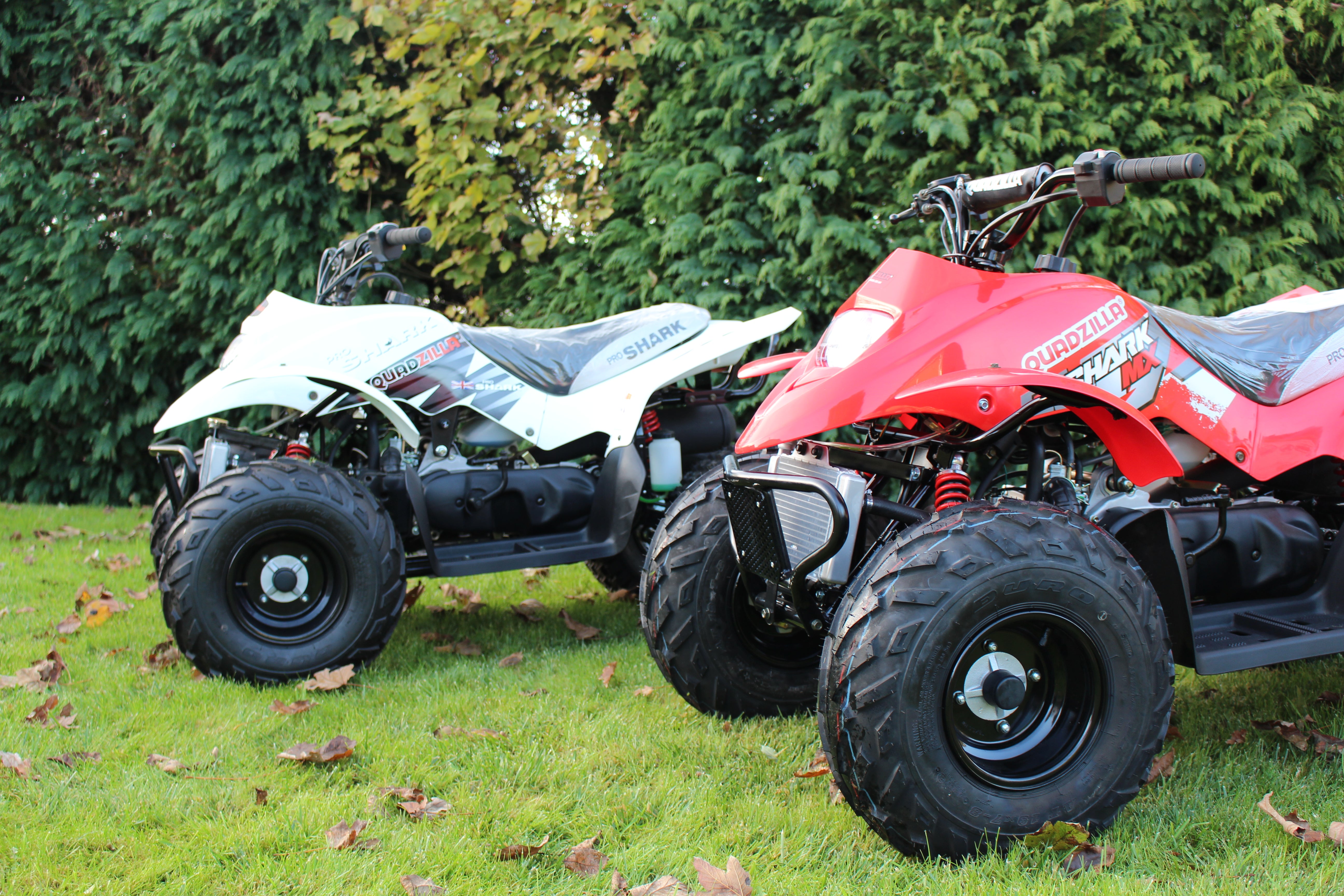 Load image into Gallery viewer, Quadzilla Pro Shark 100S Water Cooled Quad Bike
