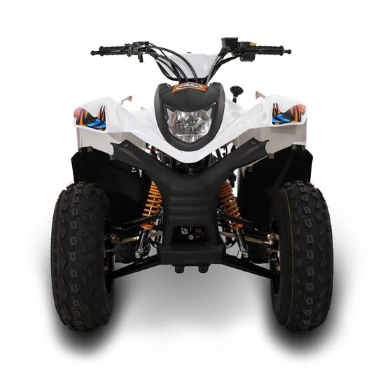Load image into Gallery viewer, SMC Hornet100 100cc Kids Quad Bike
